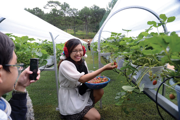 Du Lịch Văn Hóa Sài Gòn