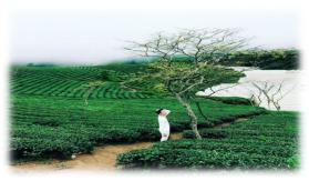 Du Lịch Văn Hóa Sài Gòn