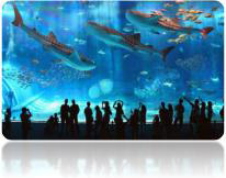 Du Lịch Văn Hóa Sài Gòn