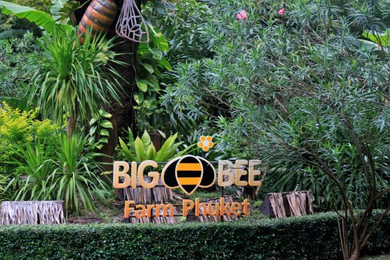 Du Lịch Văn Hóa Sài Gòn