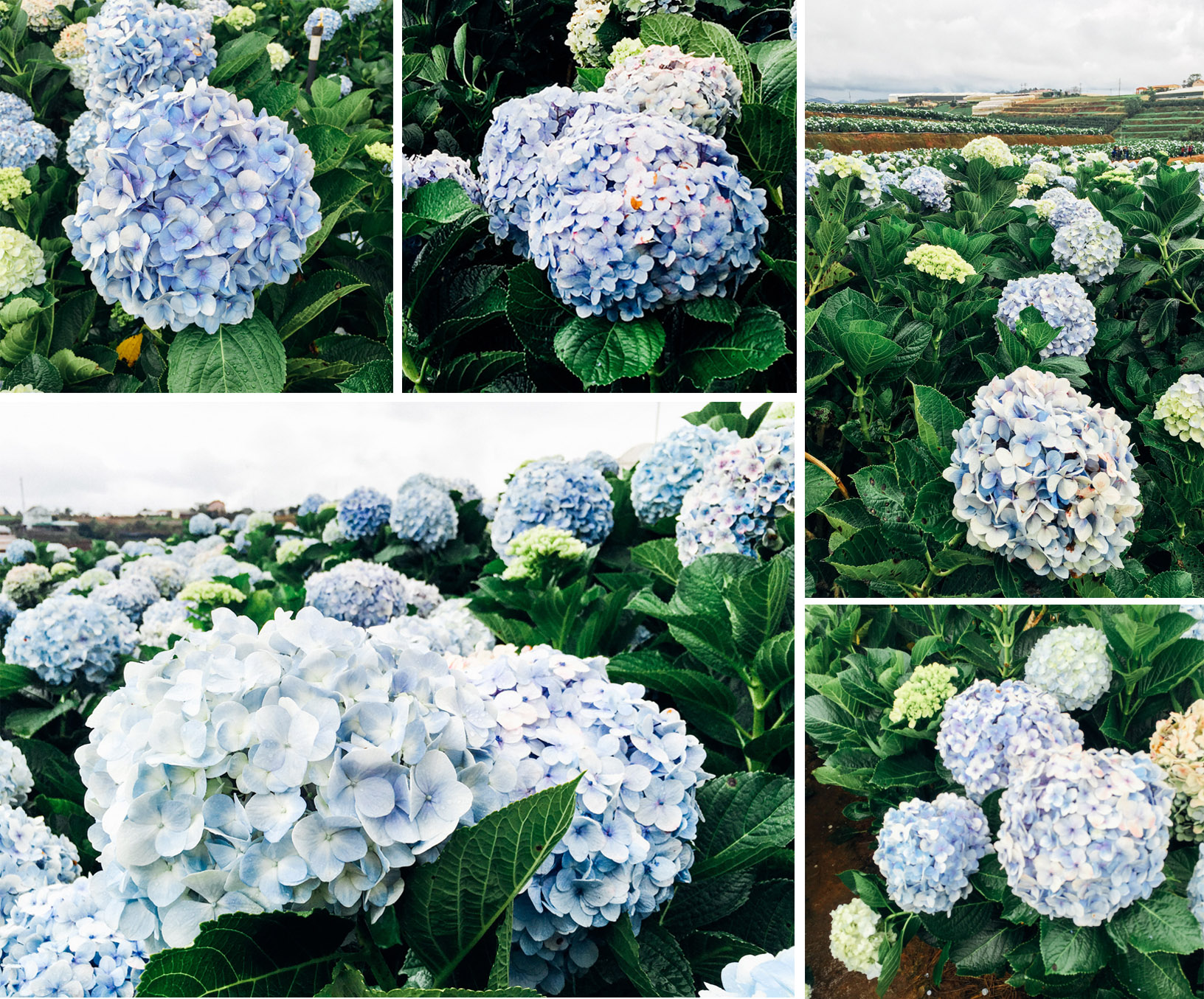 Du Lịch Văn Hóa Sài Gòn