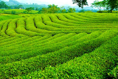 Du Lịch Văn Hóa Sài Gòn