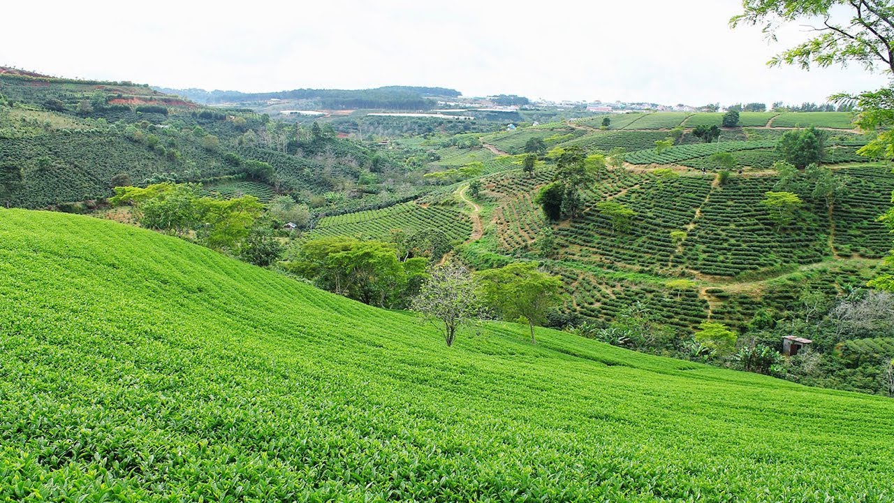 Du Lịch Văn Hóa Sài Gòn