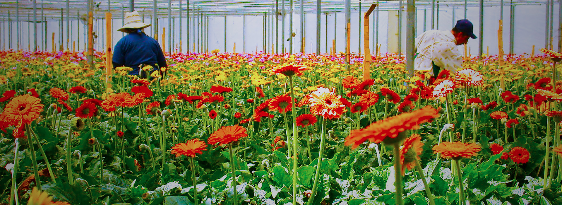 Du Lịch Văn Hóa Sài Gòn