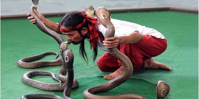 Du Lịch Văn Hóa Sài Gòn