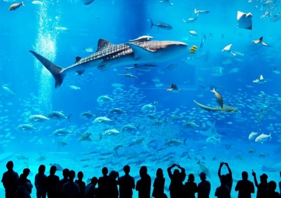 Du Lịch Văn Hóa Sài Gòn