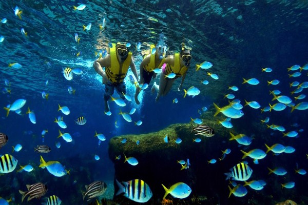 Du Lịch Văn Hóa Sài Gòn