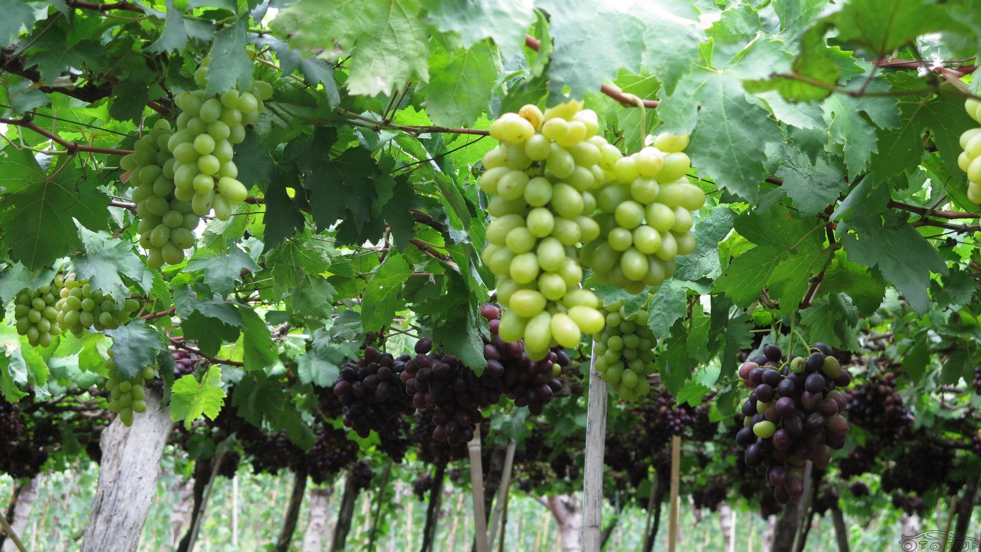 Du Lịch Văn Hóa Sài Gòn