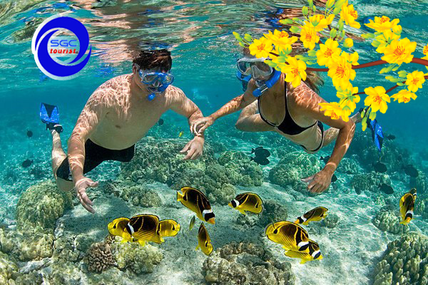 Du Lịch Văn Hóa Sài Gòn