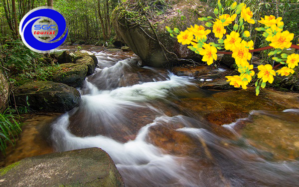 Du Lịch Văn Hóa Sài Gòn