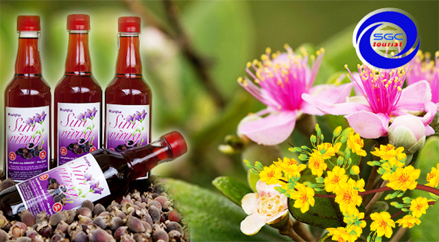 Du Lịch Văn Hóa Sài Gòn