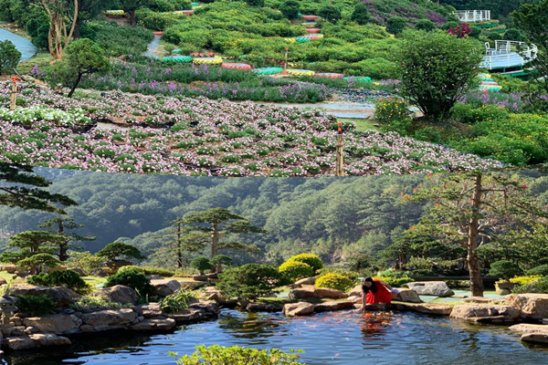 Du Lịch Văn Hóa Sài Gòn